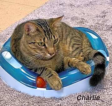 Photo of Charlie