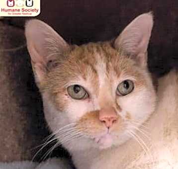 Photo of Ron
