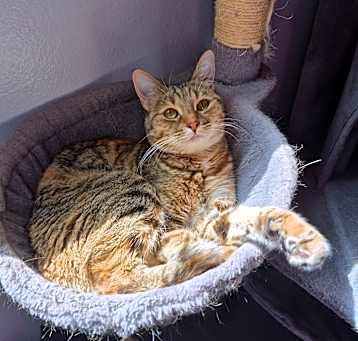 Photo of Skye