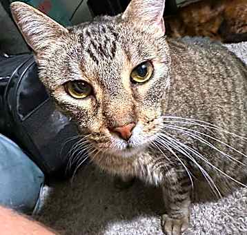 Photo of Micah