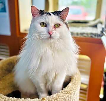 Photo of Lizzy