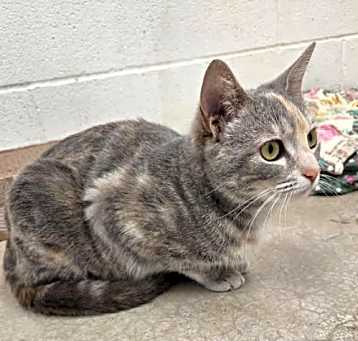 Photo of Tabitha