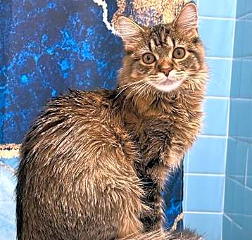 Photo of Cleo
