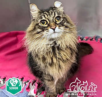 Photo of MOLLY