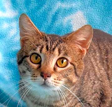 Photo of Murphy