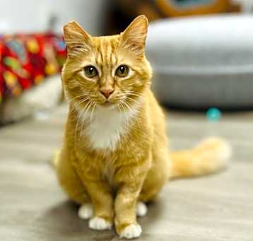 Photo of Turner