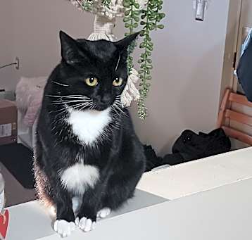 Photo of Twyla
