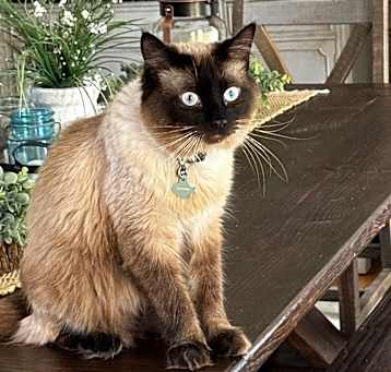 Photo of Max