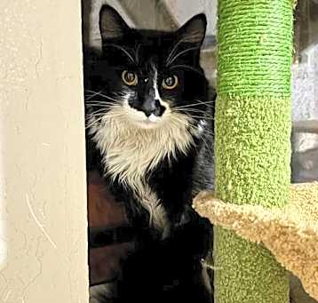 Photo of Rogue