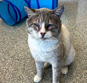 Photo of Cloudy