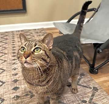 Photo of Nyx