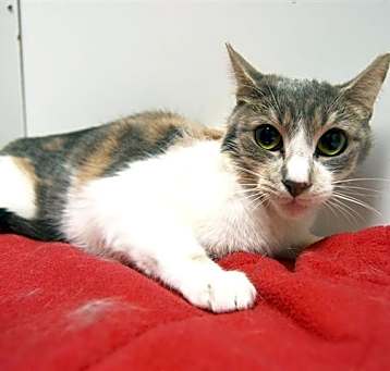 Photo of *WINNIE