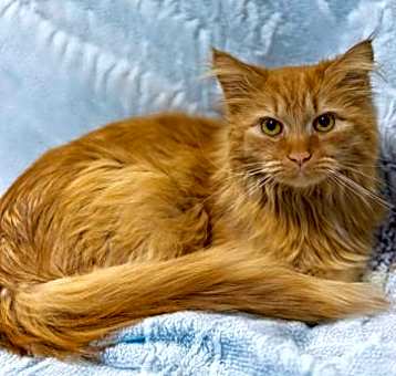 Photo of Viktor