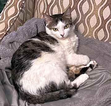 Photo of Ruby