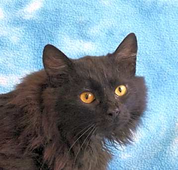 Photo of Wyatt