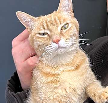 Photo of Buffy