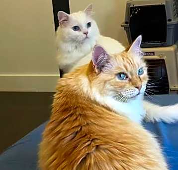 Photo of Chairman and Memory