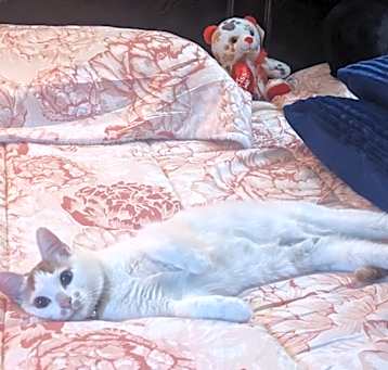 Photo of Pinky