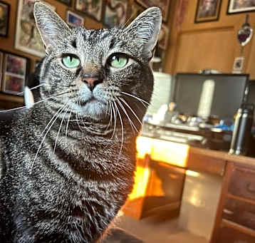 Photo of Ruby