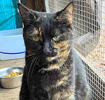 Photo of Lucy
