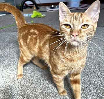 Photo of Reign