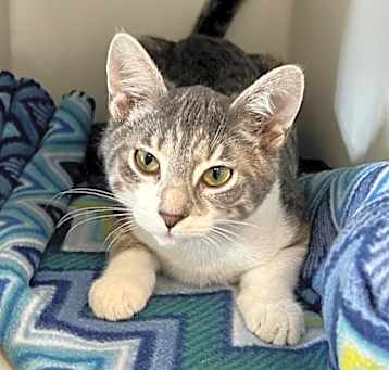 Photo of Annie