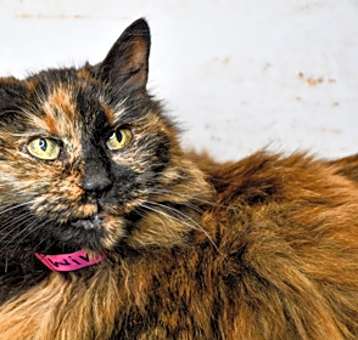Photo of Winnie