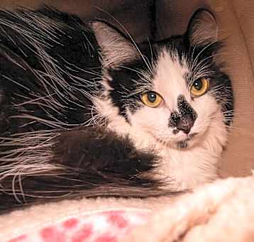Photo of Buttons