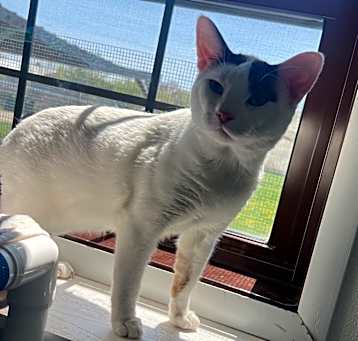 Photo of Tom