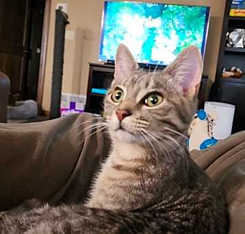 Photo of Lucky