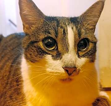 Photo of Max