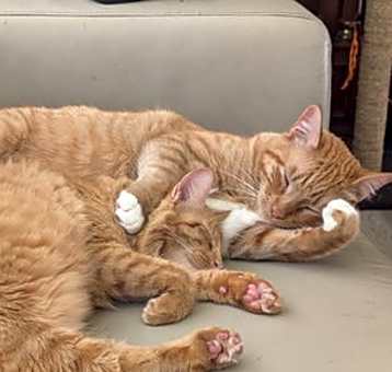Photo of Ricky and Lucy