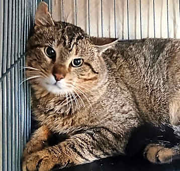 Photo of Hunter