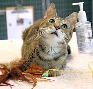 Photo of Precious
