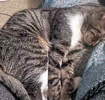Photo of Tabitha
