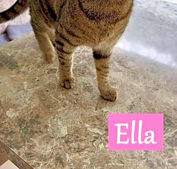 Photo of Ella 4