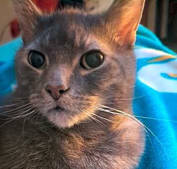 Photo of Jack