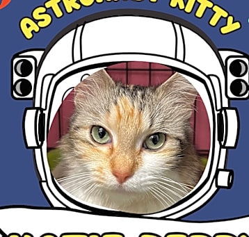 Photo of Katie Perry Astronaut Kitty