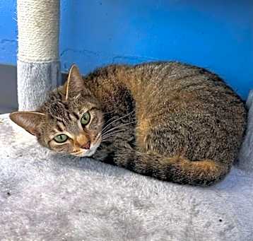 Photo of Gruntilda