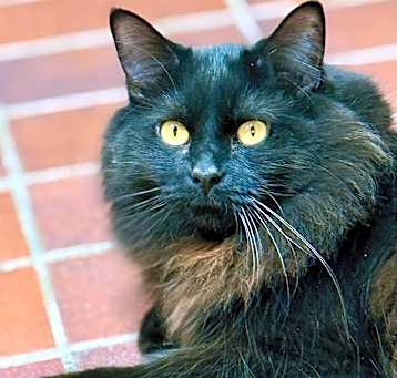 Photo of Murphy