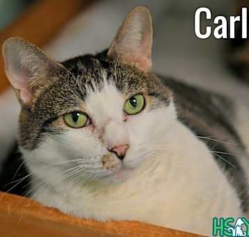 Photo of Carla
