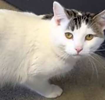 Photo of Clyde
