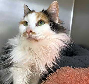 Photo of GWENDOLYN