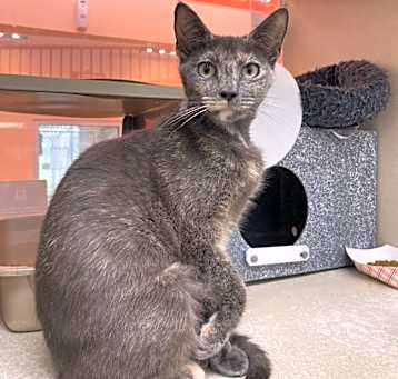 Photo of Esther