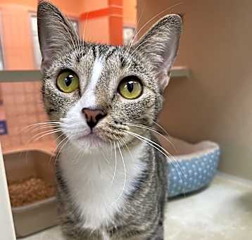 Photo of Lily