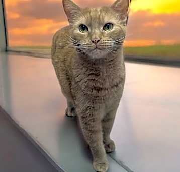 Photo of Howie