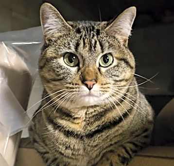 Photo of Mabel