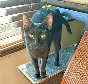 Photo of Vanya