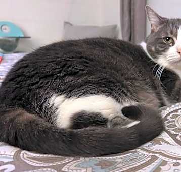 Photo of Meka