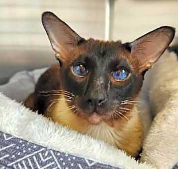 Photo of Stormy